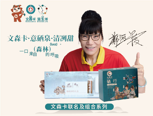 文森卡联名及组合系列